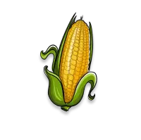 Corn