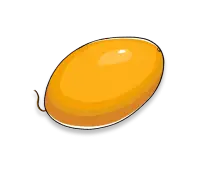 Melon